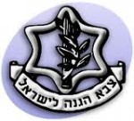 עבודה סמינריונית האמון בצבא עבודה סמינריונית האמון בצבא