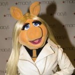 סמינריון השפעת תקציב המדינה על נשים סמינריון השפעת תקציב המדינה על נשים